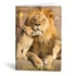 Kép 2/5 - Füzet kockás LIPAMILL A/4 40 lapos King of lions