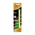 Kép 2/2 - Grafitceruza BIC Eco Evolution Black HB hatszögletű 2 darabos neon+radír+hegyező